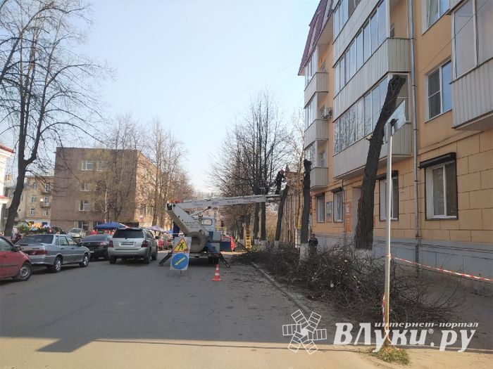 На Пионерской пилят деревья (ФОТО)
