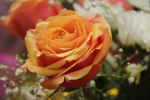 Конкурс «Мимо тёщиного дома...» нашел победителя (ФОТО)