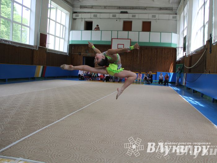 В Великих Луках прошло Первенство по художественной гимнастике (фото)