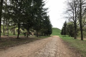 В будущем Петровском парке завершается очередной этап работ (ФОТО)