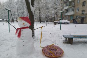 Интернет-портал ВЛуки.ру поздравляет всех с Новым 2021 годом!