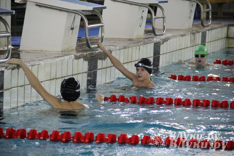 В Великих Луках прошло Первенство по плаванию (фото)