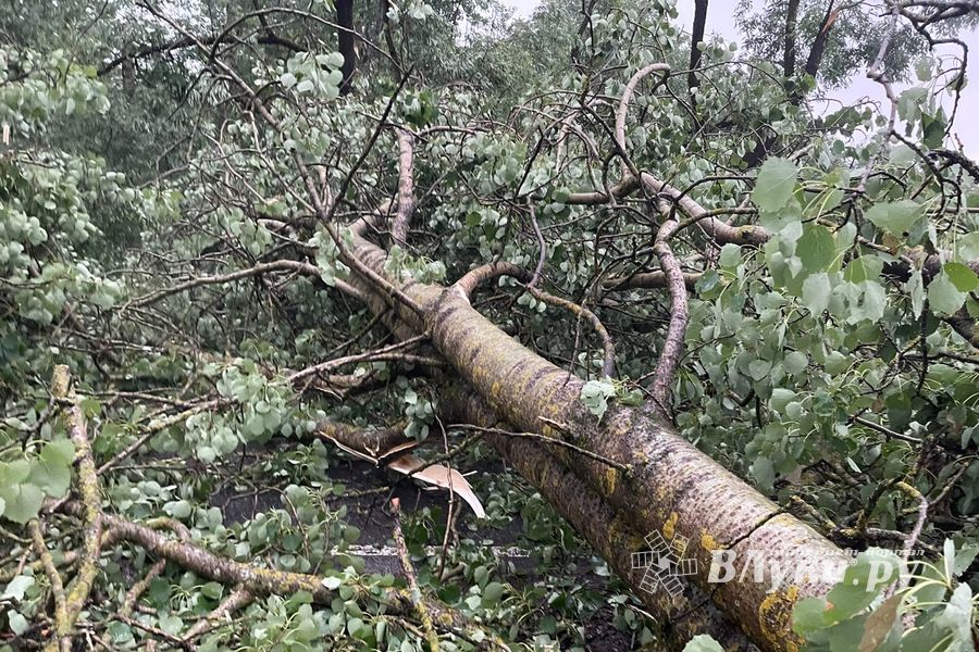 Весь ужас вчерашнего урагана в Великих Луках и районе (ФОТО, ВИДЕО)