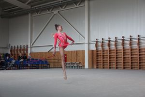 В Великих Луках прошли соревнования по по художественной гимнастике (ФОТО)