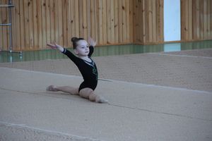 В Великих Луках прошло ​Открытое первенство города по художественной гимнастике (фото)