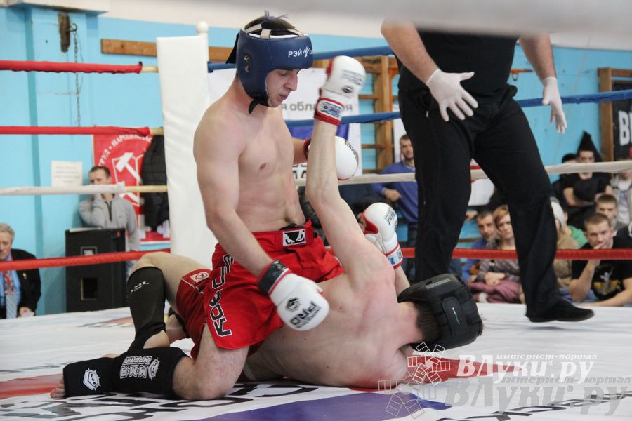 Открытый Кубок города Великие Луки по смешанному боевому единоборству (ММА)