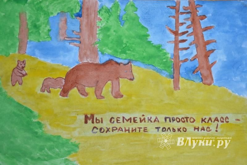 Школы Псковской области провели экологический конкурс рисунков и эссе