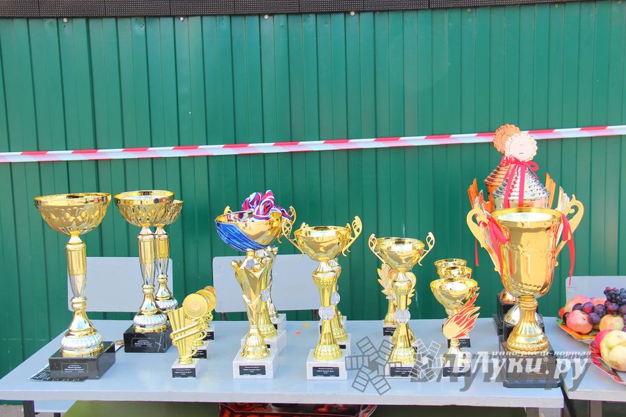 ​Великолучанин Николай Маркевич стал серебряным призером чемпионата г. Великие Луки по картингу (фото)