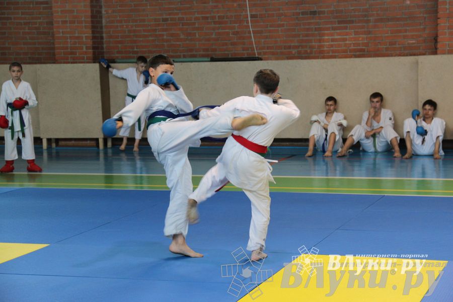 Турнир по каратэ «Неприкосновенный запас — дети Отчизны»