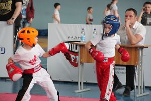 В Великих Луках прошел Кубок области по кикбоксингу (ФОТО)