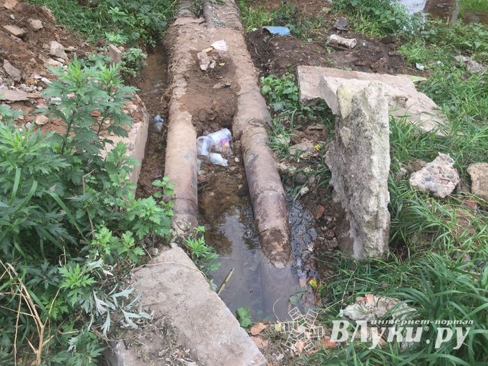 В Великих Луках забил «гейзер», по словам коммунальщиков, «рядовая ситуация» (ФОТО+ЗВУК)