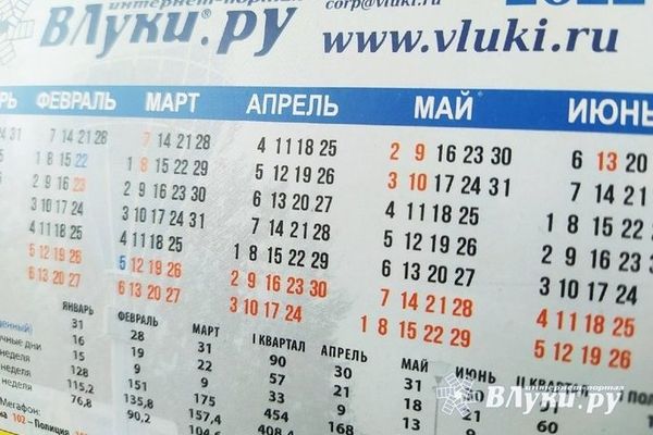 В Госдуме предложили сократить новогодние выходные