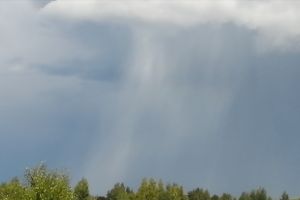 © ВЛуки.ру