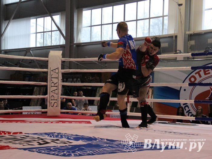 Открытый кубок по смешанному боевому единоборству ММА прошел в Великих Луках (ФОТО)