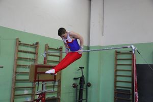 В Великих Луках прошло Первенство города по спортивной гимнастике (фото)