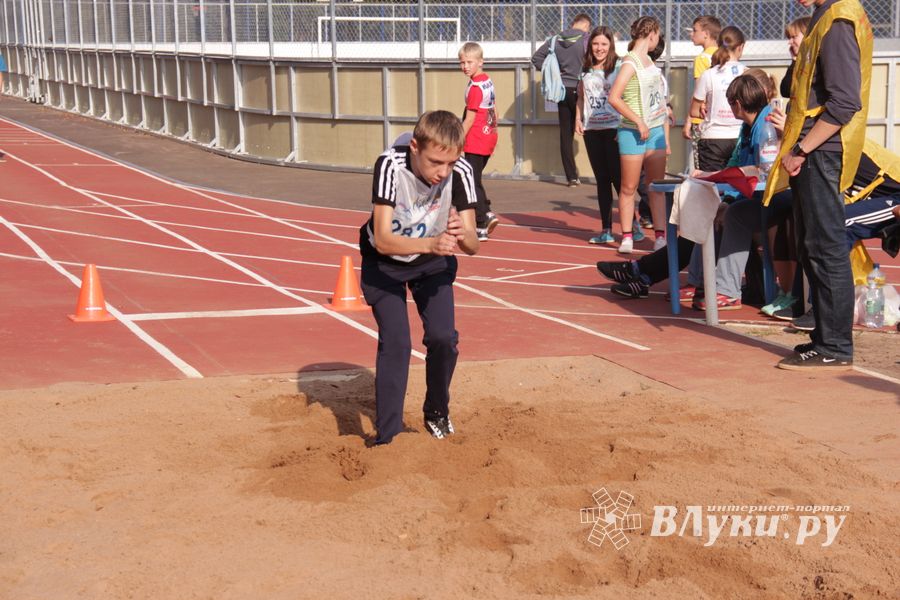 В Великих Луках состоялись соревнования «Шиповка юных» (фото)
