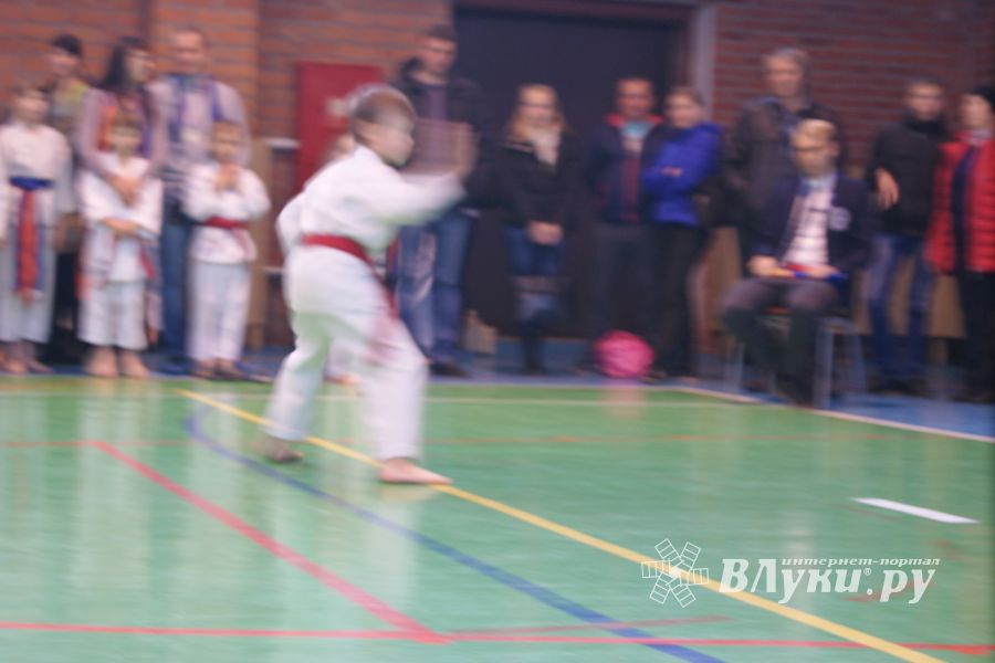 В Великих Луках прошли соревнования по каратэ (ФОТО)