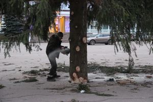 Необычное украшение сняли с главной ёлки Великих Лук