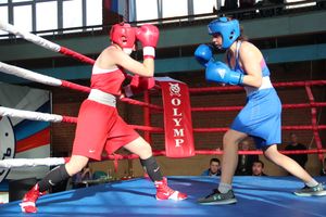 В Великих Луках прошел турнир по боксу памяти Е. Клевцова (ФОТО)