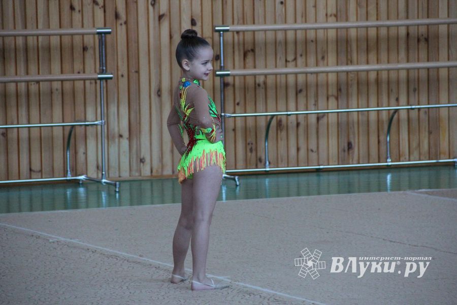В Великих Луках прошло Открытое первенство города по художественной гимнастике (фото)