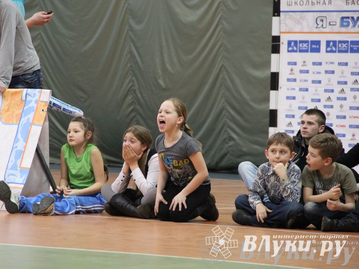 Чемпионат ШБЛ «КЭС-БАСКЕТ» сезона 2013-2014 гг. Псковской области