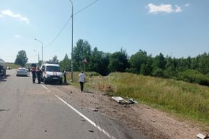 В ДТП в Куньинском районе погиб ребёнок (ФОТО)