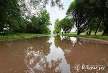 Прогноз погоды на 16 июля в Великих Луках