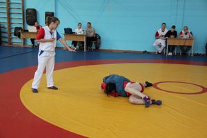 В Великих Луках прошел Чемпионат и Первенство области по самбо (фоторепортаж)