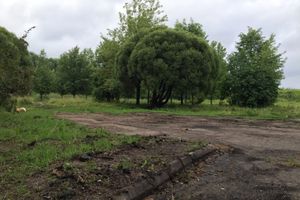 Сквер у автовокзала в Великих Луках обновился (ФОТО)