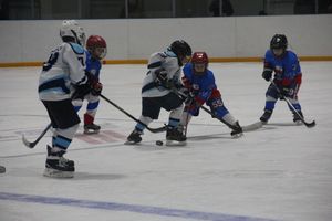 Детский турнир по хоккею прошел в Великих Луках (ФОТО)