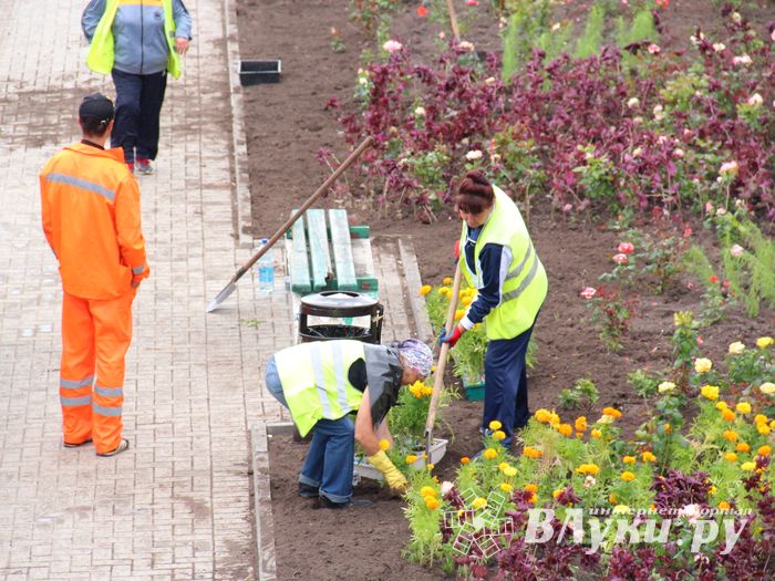 В Великих Луках сажают, стригут и красят (ФОТО)
