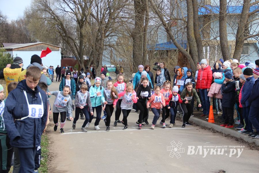 В Великих Луках прошёл легкоатлетический кросс (ФОТО)