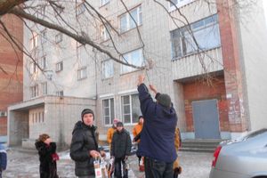 В Великих Луках прошла акция «Поможем пернатым друзьям в зимние холода» (фото)
