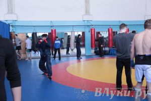 Чемпионат Псковской области по ММА