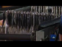 Импульс-ТВ: Рыбокомбинат