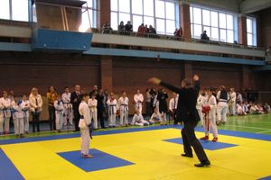 Кубок Псковской области по каратэ прошел в Великих Луках (фото)
