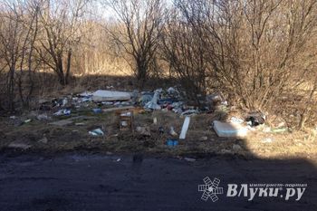 «Великие Луки — большая свалка» (ФОТО)