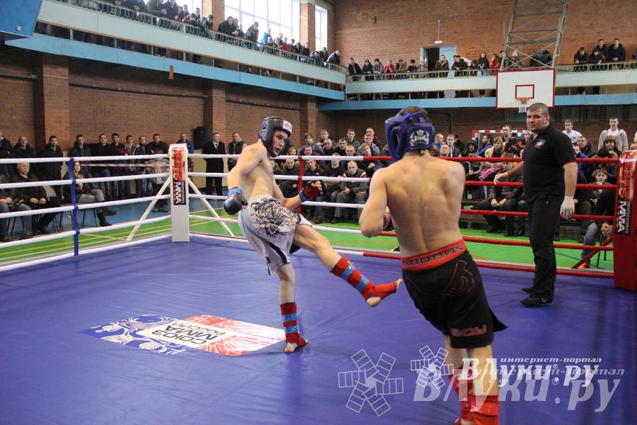 В Великих Луках прошел межрегиональный Открытый Кубок по смешанному боевому единоборству (фото)