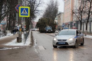 Ёлочка приехала! (ФОТО)