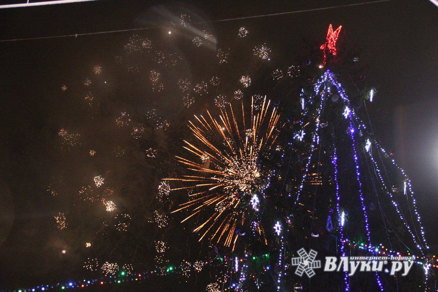 © ВЛуки.ру