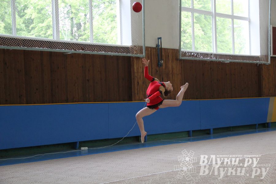 В Великих Луках прошло Первенство по художественной гимнастике (фото)