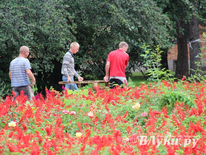В Великих Луках в сквере Карцева появится детская площадка (ФОТО)
