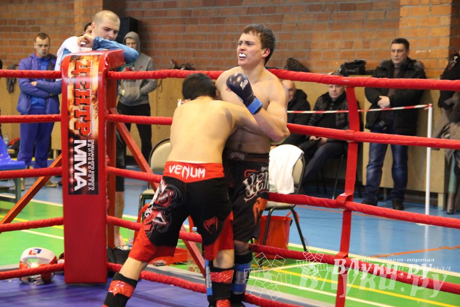 В Великих Луках прошел межрегиональный Открытый Кубок по смешанному боевому единоборству (фото)