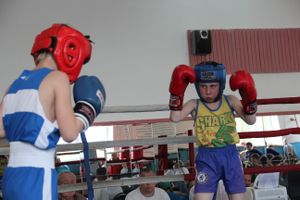 В Великих Луках прошло Первенство города по боксу (ФОТО)
