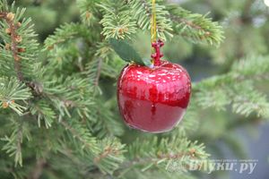 В Великих Луках открылась выставка «Новый год из детства» (фото)