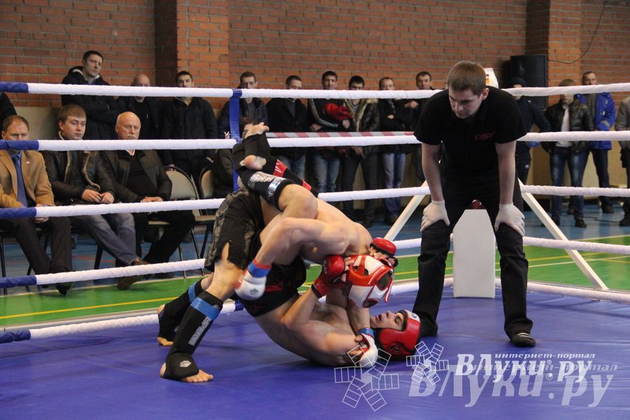 В Великих Луках прошел межрегиональный Открытый Кубок по смешанному боевому единоборству (фото)