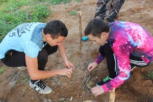 В лагере «Солнечный» прошел ежегодный 20 турслет (фото)