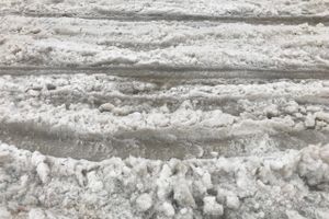 Великие Луки могут стать родиной «автофристайла» (ФОТО; ВИДЕО)