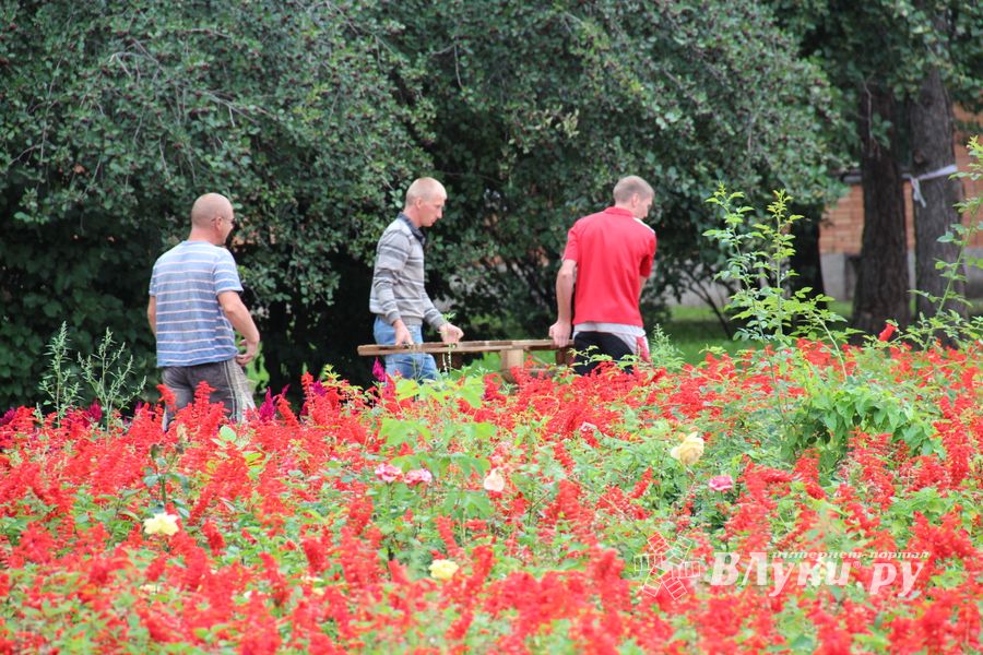 В Великих Луках в сквере Карцева появится детская площадка (ФОТО)