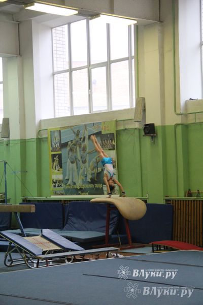 В Великих Луках состоялось Первенство города по спортивной гимнастике (фото)